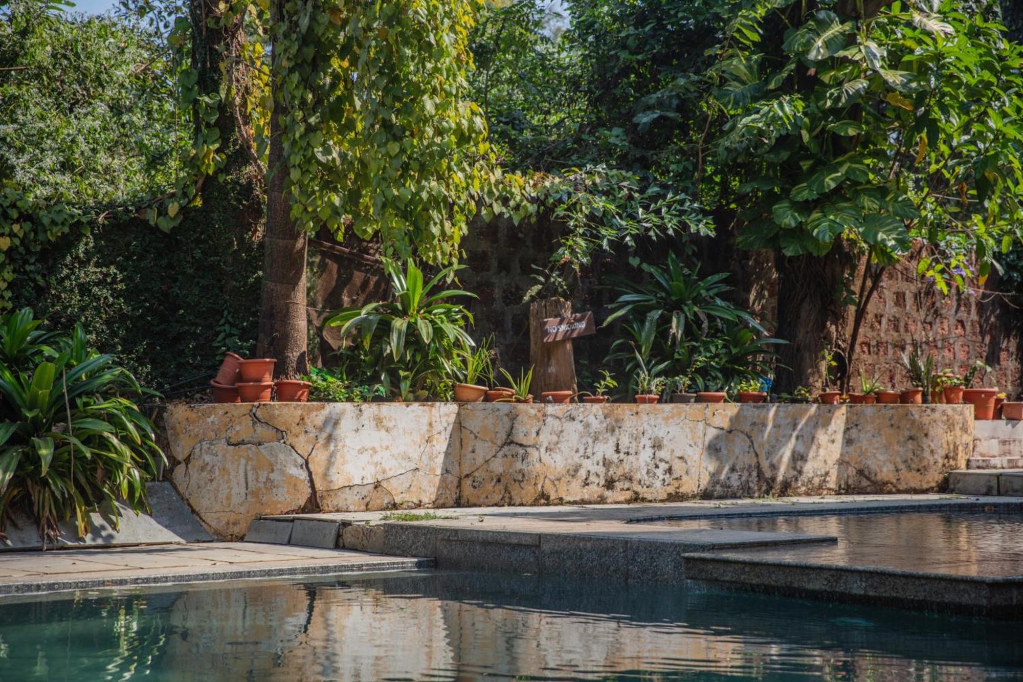 Satori Wellness Cottages I Yoga, Sauna, Ice Bath, Holistic Therapies & More Мандрем Екстер'єр фото